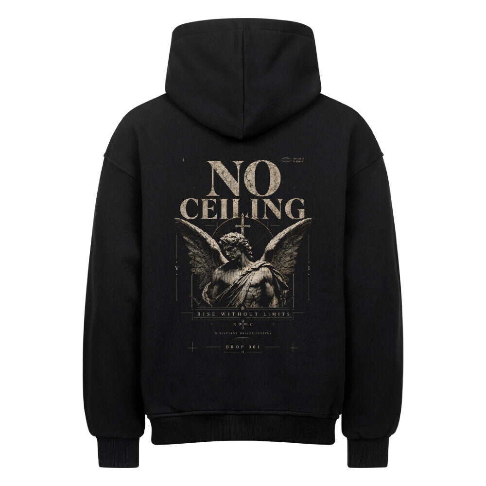 NO CEILING HOODIE